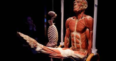 В Москве ограничили доступ на резонансую выставку человеческих тел