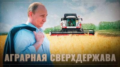 «Всё только начинается» – российский аграрный экспорт...