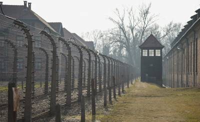 Polskie Radio (Польша): посол РП в США предложил американской публицистке, оклеветавшей Польшу, посетить музей концлагеря «Аушвиц-Биркенау»