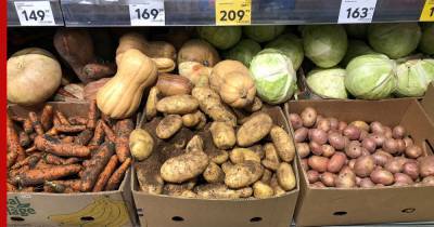 В России подорожали морковь, картофель и капуста