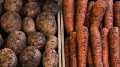 В России подорожали картофель и морковь