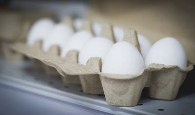 Средняя цена яиц за неделю увеличилась на 1,3%