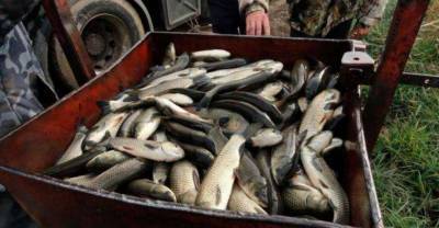 Промышленный вылов рыбы запретили на Киевщине