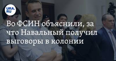 Алексей Навальный - Ив Роше - Во ФСИН объяснили, за что Навальный получил выговоры в колонии - ura.news - Владимирская обл.