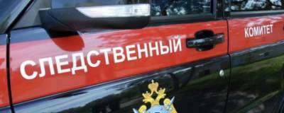 В квартире в Санкт-Петербурге найдено тело пятилетнего мальчика