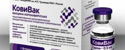 Названы сроки начала применения третьей российской вакцины от ковида