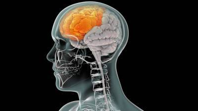Ученые научилиь «читать» реакцию мозга пациентов с тяжелыми расстройствами сознания