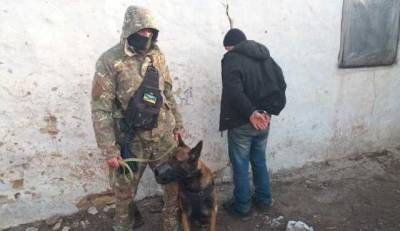 На Херсонщине полицейский пес задержал серийного грабителя