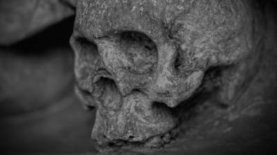 Итальянские ученые раскрыли загадку женского черепа эпохи энеолита