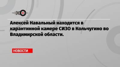 Алексей Навальный находится в карантинной камере СИЗО в Кольчугино во Владимирской области.