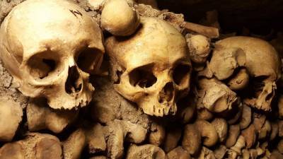 Археологи разгадали тайну найденного в пещере Марселя Лубенса черепа