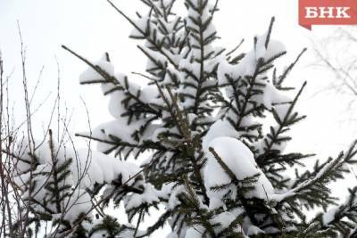 Снег и северный ветер прогнозируют в Коми