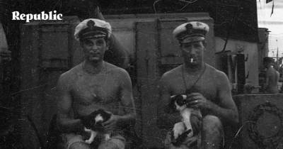Любительские снимки моряка Королевского флота.