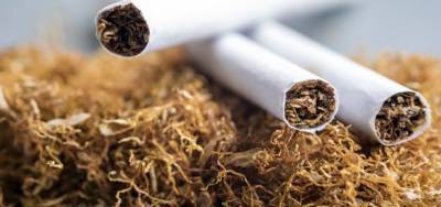 В Дании задержали украинцев за незаконное производство сигарет