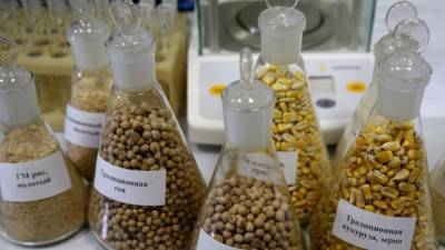 Россельхознадзор: Канада и США вводят Россию в заблуждение о поставках ГМО-растений