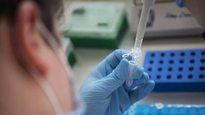 В России провели более 112 млн тестов на коронавирус
