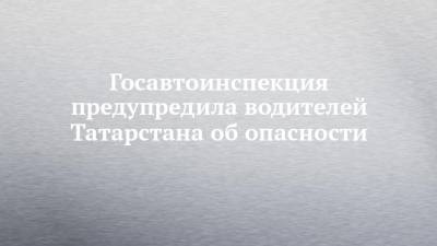 Госавтоинспекция предупредила водителей Татарстана об опасности