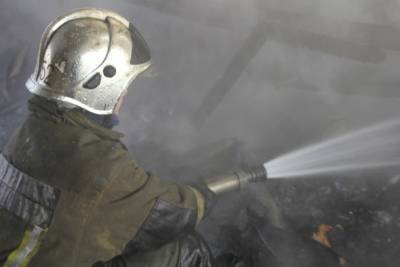 Спасатели вывели из горящего дома в Луге двух человек