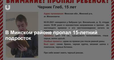 В Минском районе пропал 15-летний подросток