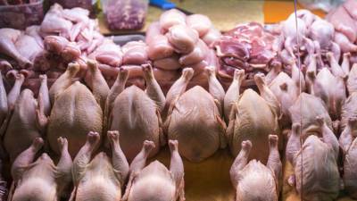 Минсельхоз оценил ситуацию с ценами на мясо птиц и яйца
