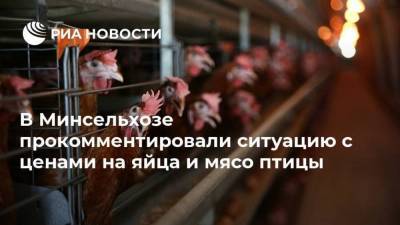 В Минсельхозе прокомментировали ситуацию с ценами на яйца и мясо птицы