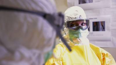 Российские медики выявили 11 385 новых случаев коронавируса за сутки
