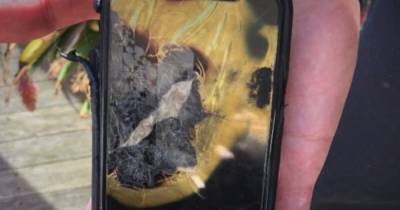 Ученый подал в суд на Apple за сгоревший в кармане iPhone (фото)