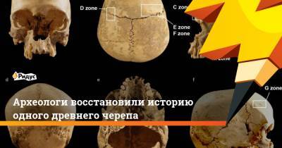 Археологи восстановили историю одного древнего черепа