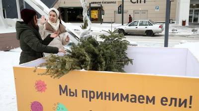 В Москве сдали на переработку свыше 44,5 тыс. новогодних деревьев