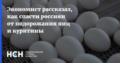 Экономист рассказал, как спасти россиян от подорожания яиц и курятины