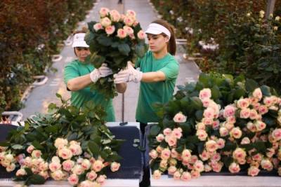 Поставщики цветов попросили правительство «обелить» рынок