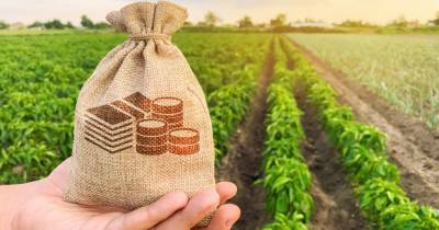 Деньги для агробизнеса: все о кредитных программах и программах поддержки аграриев