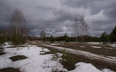 В Смоленской области похолодает до -10°C