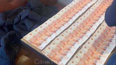 Мужчина добровольно признался в том, что хранил фальшивые деньги в Пушкине