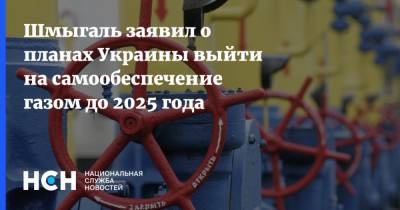 Шмыгаль заявил о планах Украины выйти на самообеспечение газом до 2025 года