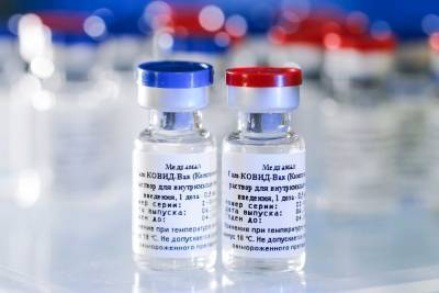 Казем Джалали - Третью партию российских вакцин отправили в Тегеран - news-front.info - Москва - Ирак - Иран - Тегеран