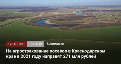 На агрострахование посевов в Краснодарском крае в 2021 году направят 271 млн рублей