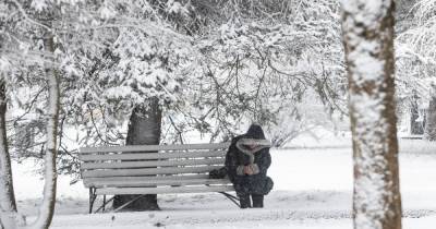 В Гидрометцентре заявили, что россияне пережили аномально холодный февраль