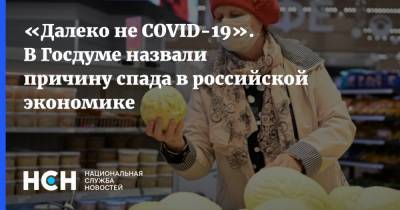 «Далеко не COVID-19». В Госдуме назвали причину спада в российской экономике