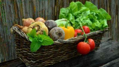 С начала года сбор овощей в Подмосковье увеличился на 30%