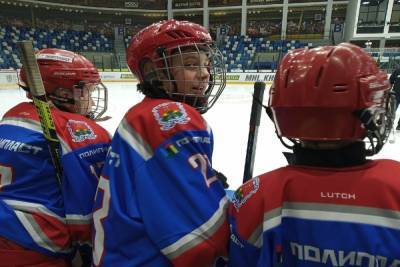 В Тульской области к следующему сезону создадут команду Высшей хоккейной лиги