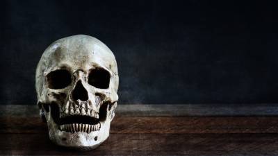 Раскрыта тайна древнего черепа из пещеры в итальянской Болонье