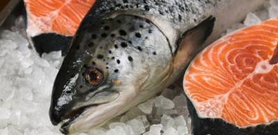 Украина втрое увеличила импорт красной рыбы: откуда везут?