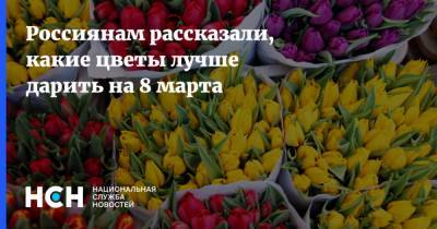 Россиянам рассказали, какие цветы лучше дарить на 8 марта