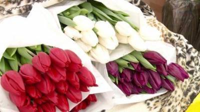 В Пензе к 8 Марта организовали 12 цветочных ярмарок