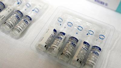 В Молдавии одобрили вакцину «Спутник V»