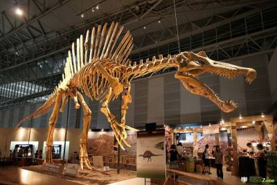 Почему ученые не могут «возродить» динозавров