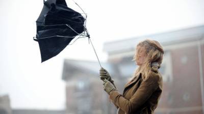 В Киеве объявили штормовое предупреждение из-за сильного ветра