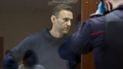 Меркури: статья о госизмене словно написана для команды Навального