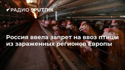Россия ввела запрет на ввоз птицы из зараженных регионов Европы